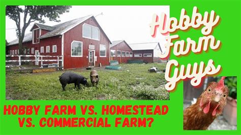 Hobby Farm Vs Business